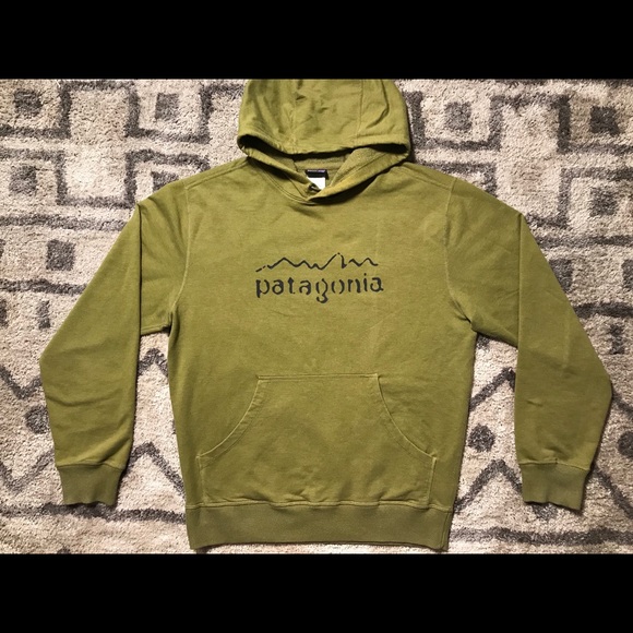 Patagonia Other - Patagonia Logo Pullover Hoodie